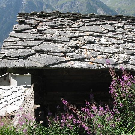 Alpia 26 - Zwei Zimmerwohnung in traditionellem Walliser Haus Gasenried Exterior foto