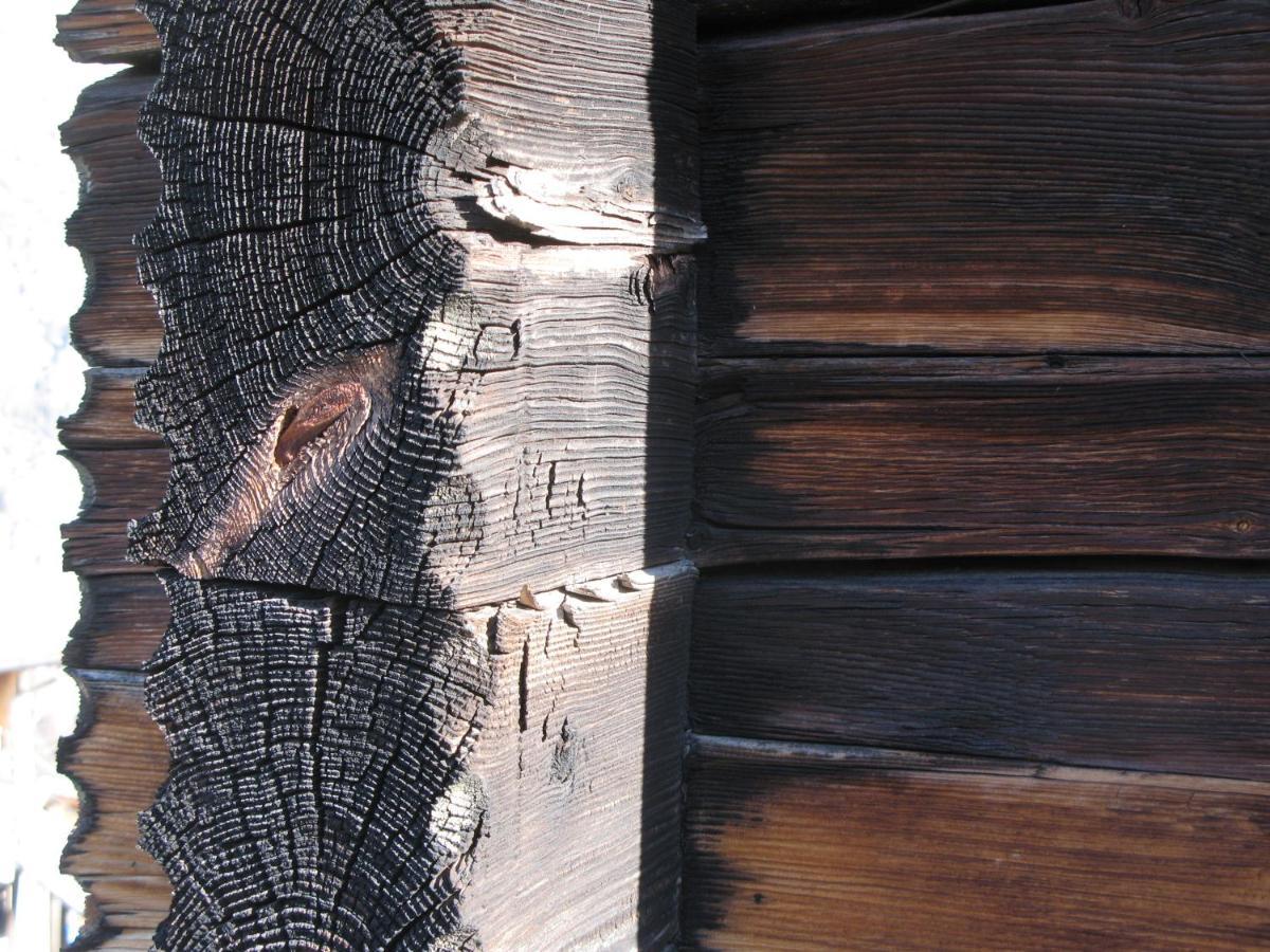 Alpia 26 - Zwei Zimmerwohnung in traditionellem Walliser Haus Gasenried Exterior foto